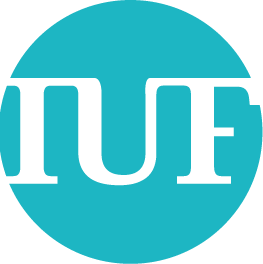 Institut Universitaire de France