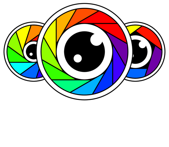 Multi-camera Imaging Research and Acquisition Platform